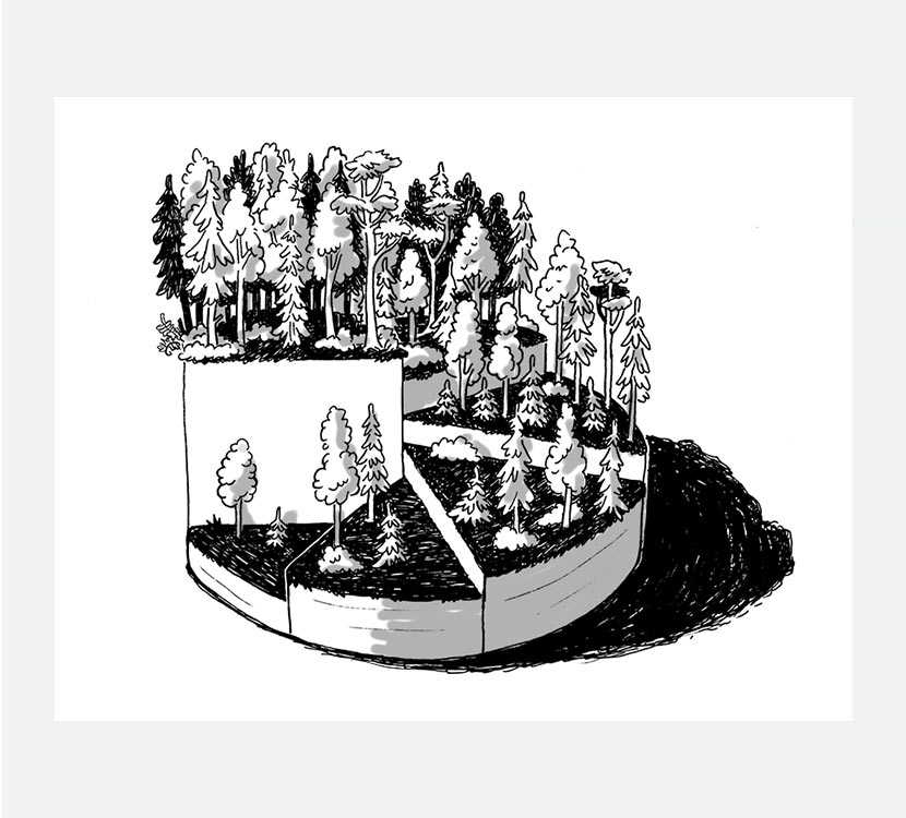 Interaktive 3D-Infografiken am Beispiel von GamesForest.Club